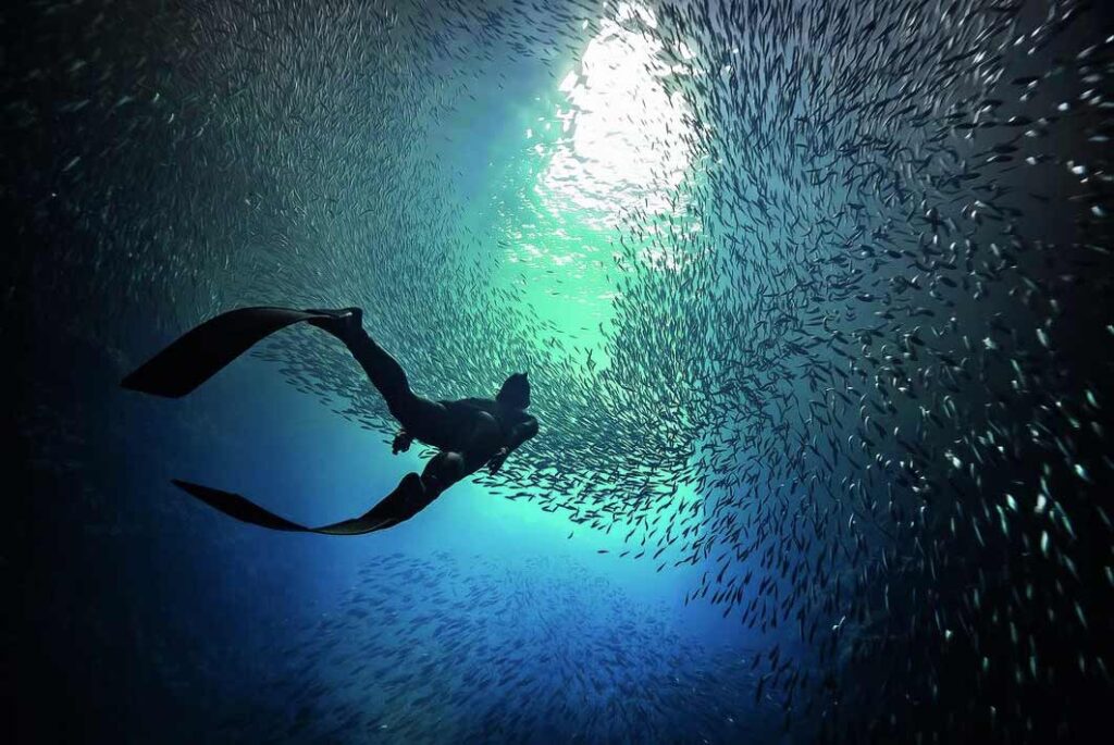 Duties of a Freediver