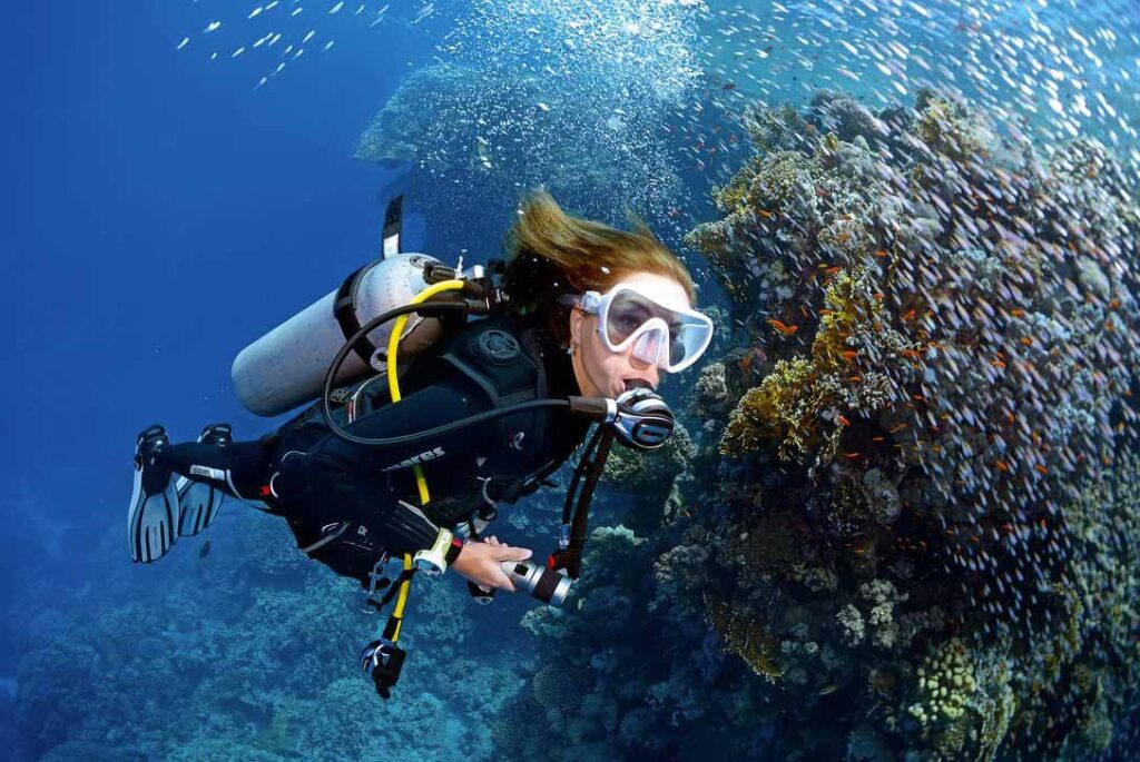 Freediving and Scuba Diving