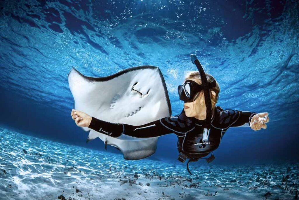 Interacting-with-Underwater-Life