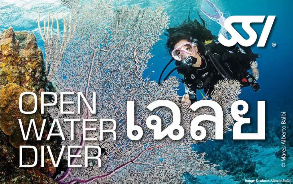 เฉลยเรียนดำน้ำ-open-water